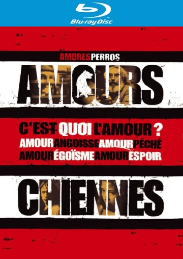 Amours chiennes [HDLIGHT 1080p] - MULTI (FRENCH)