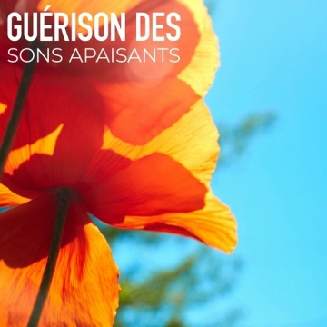 Relaxation Sommeil et Détente - Guérison des Sons Apaisants [Albums]
